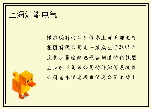 上海沪能电气